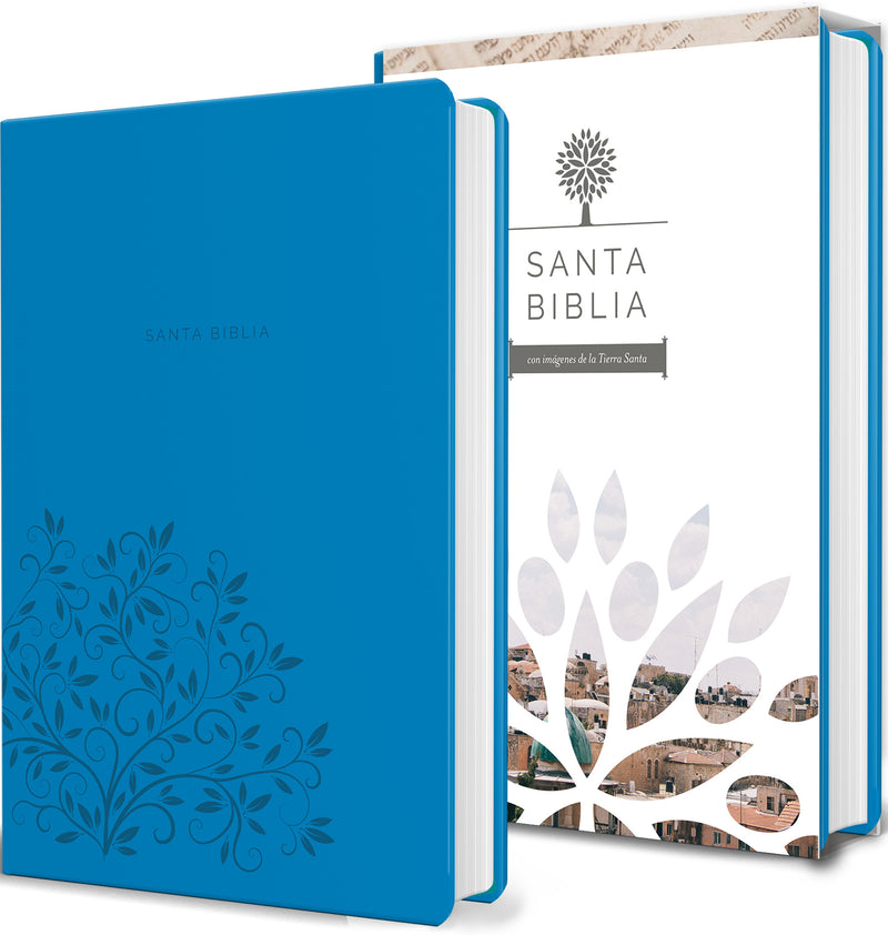 Biblia Reina Valera 1960 letra grande. Símil piel azul, tamaño manual