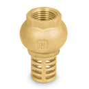 Pichancha con rejilla de latón 1-1/4'